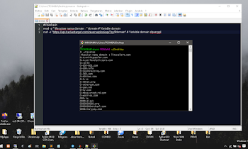Cara Menggunakan API Hackertarget Dan Mengimplementasikan Kedalam Bash